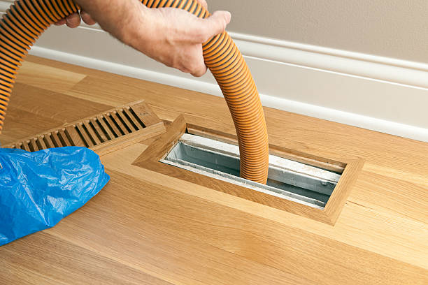 Best Air Vent Cleaning Services  in Piednt, MO